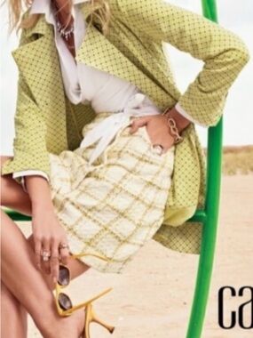 Cabi Coco Skirt Size 8